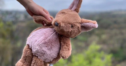 Nurture Nature Appreciation with our Iconic Australian Animal Soft Toys