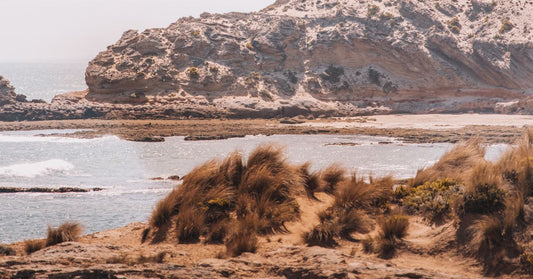 The season of the great Australian road trip