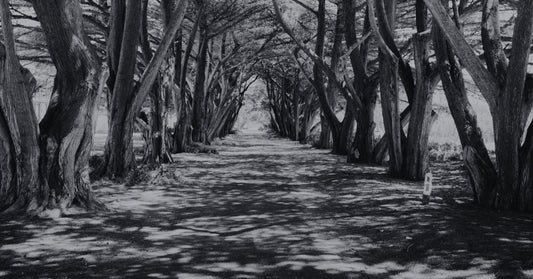 BOO! Get spooked at some of the Mornington Peninsula's spookiest locations