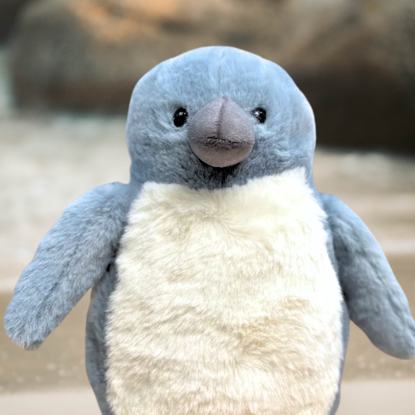 Soft & Salty Little Penguin Soft Toy – Australian Native Wildlife (NEW)